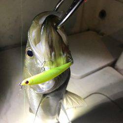 Monster Rush! 釣果