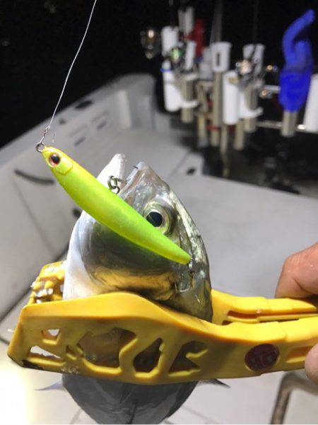 Monster Rush! 釣果