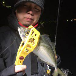 Monster Rush! 釣果