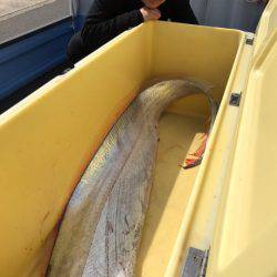 龍神丸(鹿児島) 釣果