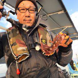 ヤザワ渡船 釣果