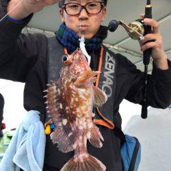 ヤザワ渡船 釣果