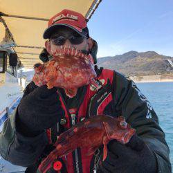 ヤザワ渡船 釣果