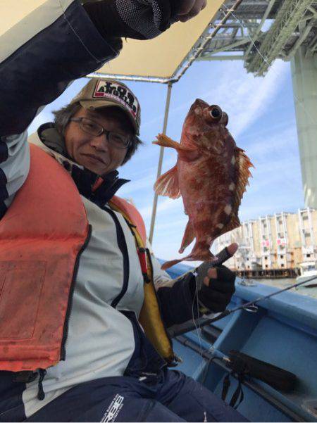 ヤザワ渡船 釣果