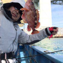 ヤザワ渡船 釣果