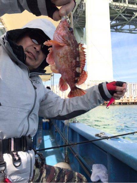 ヤザワ渡船 釣果