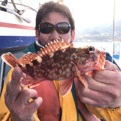 ヤザワ渡船 釣果