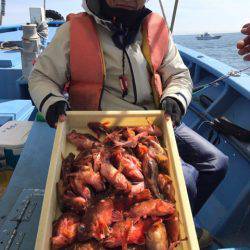 ヤザワ渡船 釣果