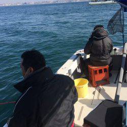 Ｖ−７ West 釣果