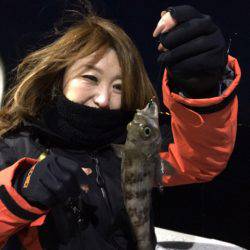 ヤザワ渡船 釣果