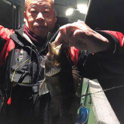 ヤザワ渡船 釣果