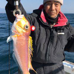 釣鯛洋 釣果