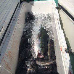 釣り堀水宝 釣果