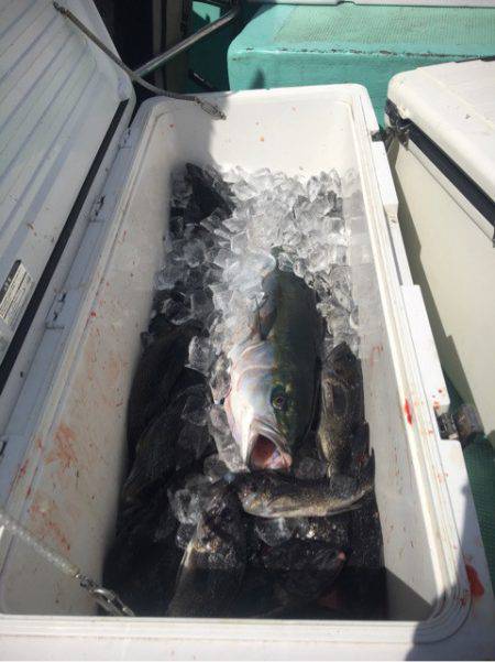 釣り堀水宝 釣果