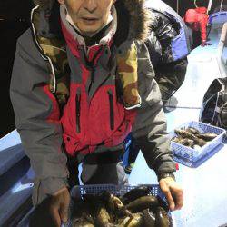 ヤザワ渡船 釣果