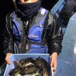 ヤザワ渡船 釣果