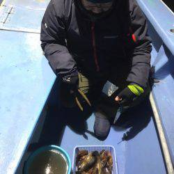 ヤザワ渡船 釣果