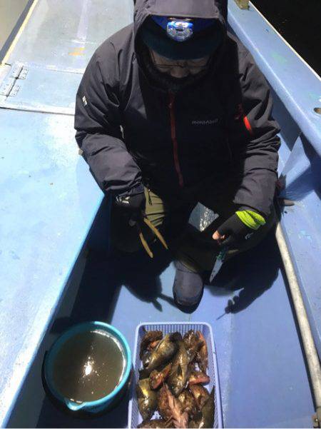 ヤザワ渡船 釣果