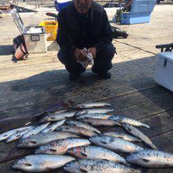釣り堀水宝 釣果