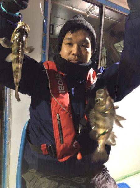 ヤザワ渡船 釣果