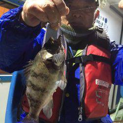 ヤザワ渡船 釣果