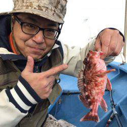 ヤザワ渡船 釣果