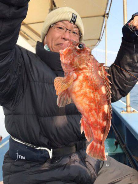 ヤザワ渡船 釣果