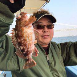 ヤザワ渡船 釣果