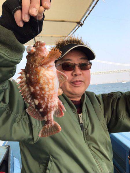 ヤザワ渡船 釣果