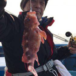 ヤザワ渡船 釣果