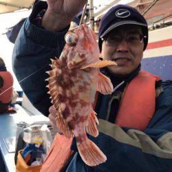 ヤザワ渡船 釣果