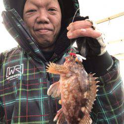 ヤザワ渡船 釣果