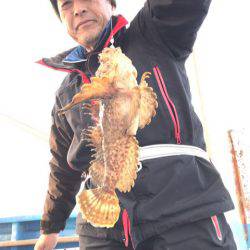 ヤザワ渡船 釣果