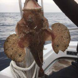 海楽隊 華栞丸 釣果