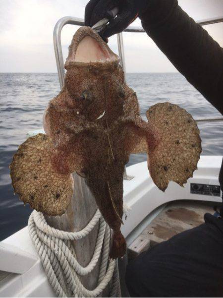 海楽隊 華栞丸 釣果