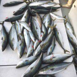 海楽隊 華栞丸 釣果