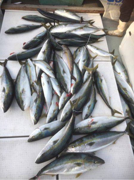 海楽隊 華栞丸 釣果