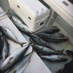 海楽隊 華栞丸 釣果