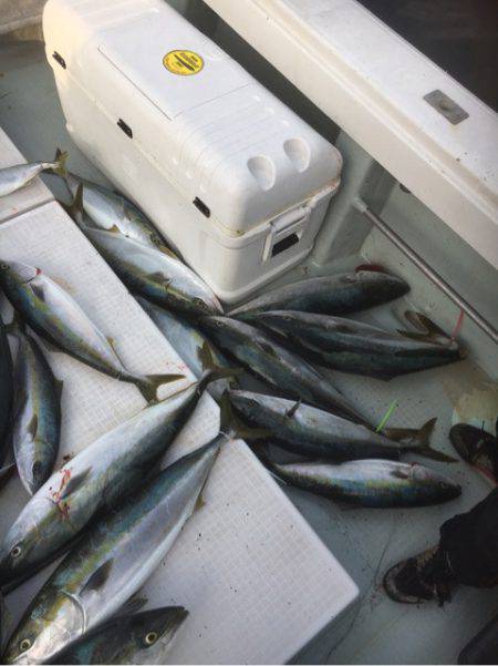 海楽隊 華栞丸 釣果