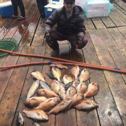 釣り堀水宝 釣果