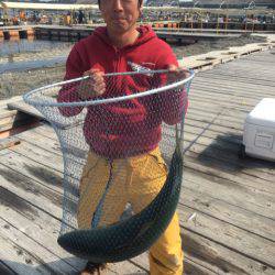 釣り堀水宝 釣果