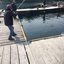 釣り堀水宝 釣果
