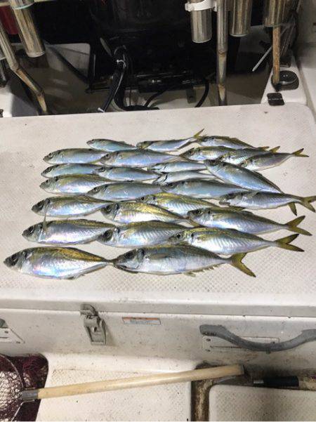 Monster Rush! 釣果