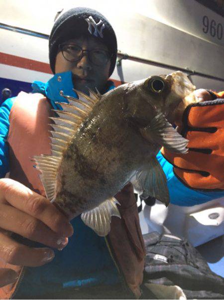 ヤザワ渡船 釣果