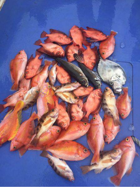真正丸 釣果