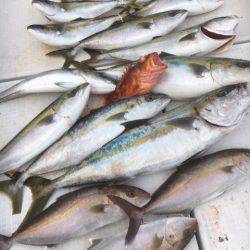 海楽隊 華栞丸 釣果