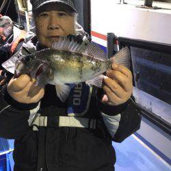 ヤザワ渡船 釣果