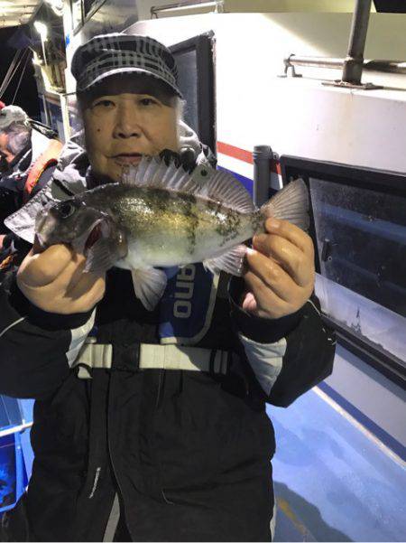 ヤザワ渡船 釣果