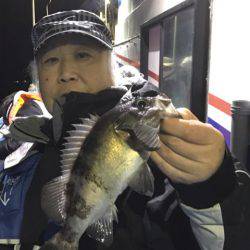 ヤザワ渡船 釣果