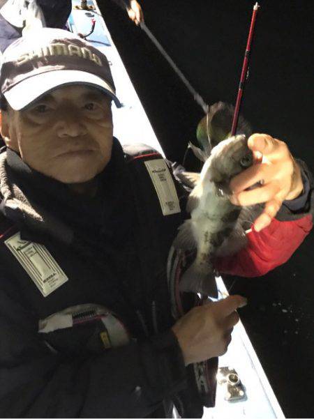 ヤザワ渡船 釣果